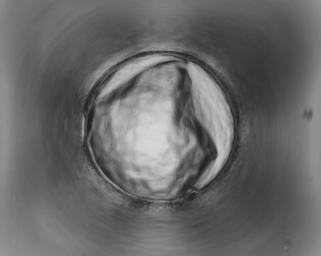 X0000113201221200910011248