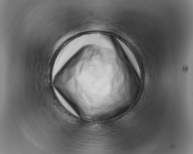 X0000113201222200910011248