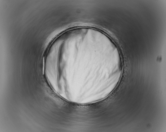 X0000113201223200910011248