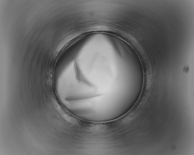 X0000113201225200910011248