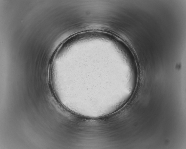 X0000113201227200910011248