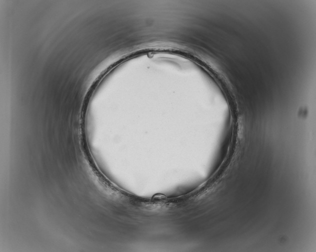 X0000113201229200910011248