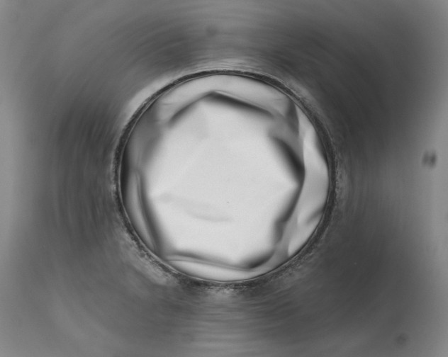 X0000113201230200910011248