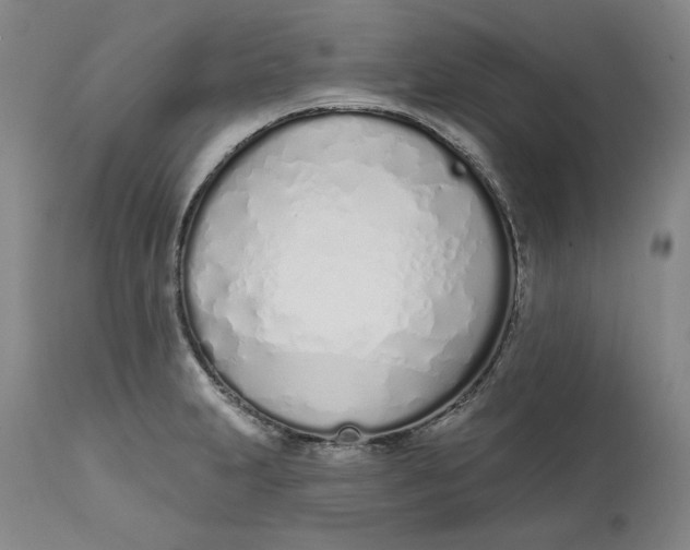 X0000113201231200910011248