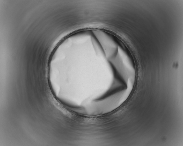 X0000113201232200910011248