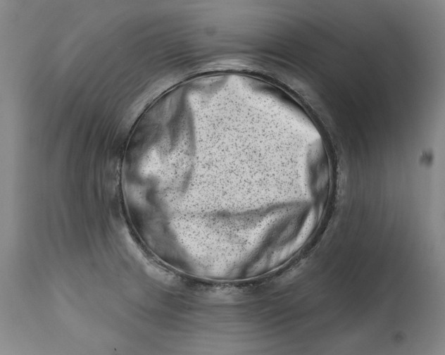 X0000113201233200910011248