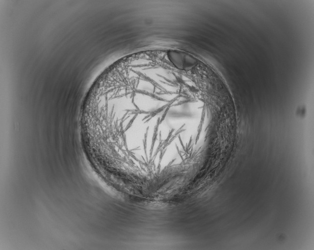 X0000113201235200910011248