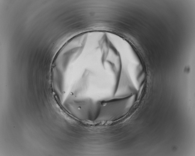 X0000113201236200910011248