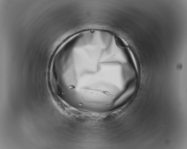 X0000113201237200910011248