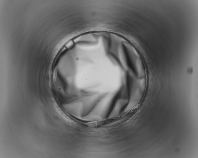 X0000113201238200910011248