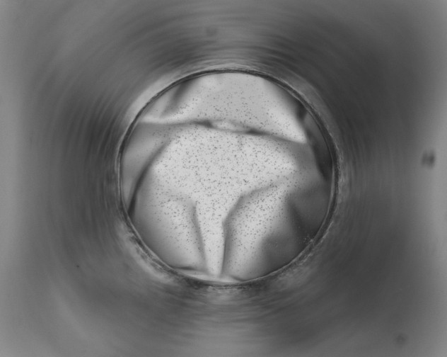 X0000113201242200910011248