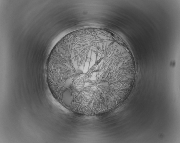 X0000113201243200910011248