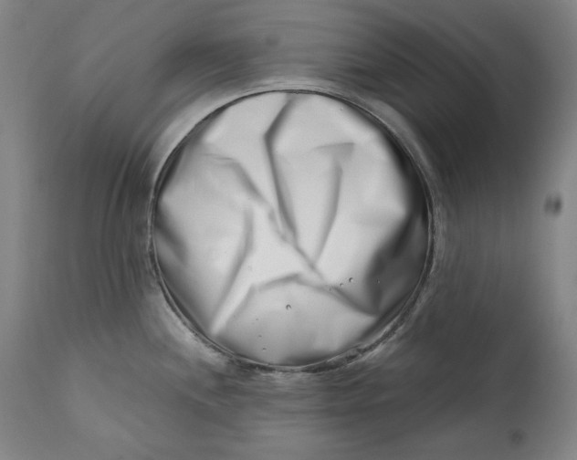 X0000113201244200910011248