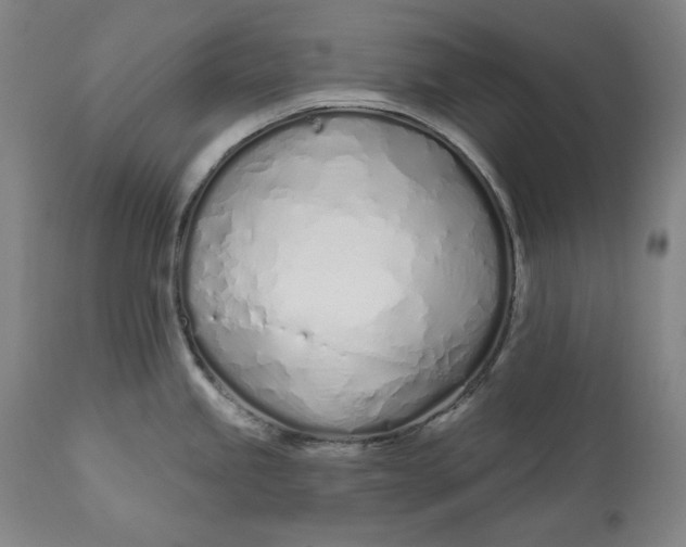 X0000113201245200910011248