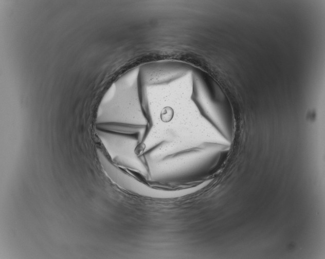 X0000113201249200910011248