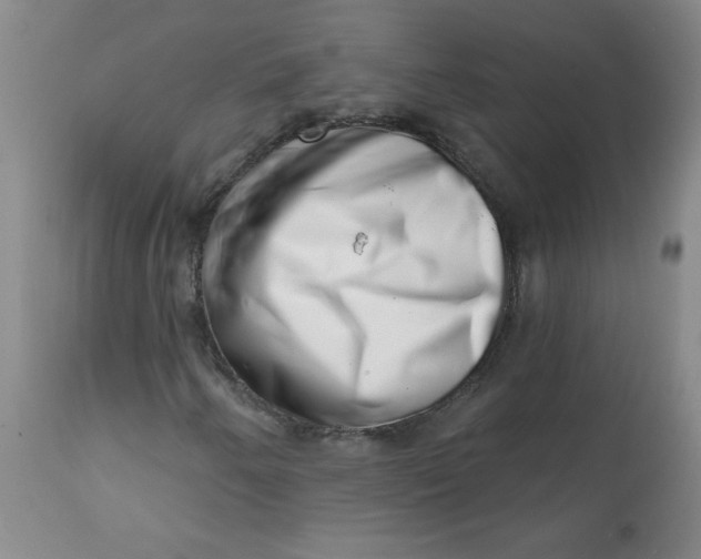 X0000113201250200910011248