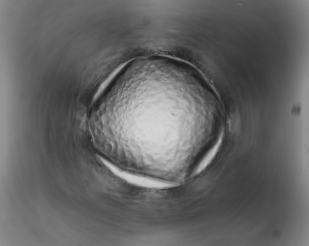 X0000113201251200910011248