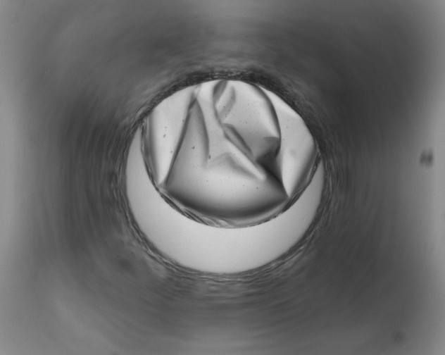 X0000113201252200910011248