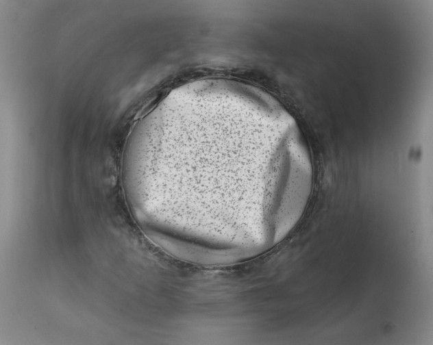 X0000113201253200910011248