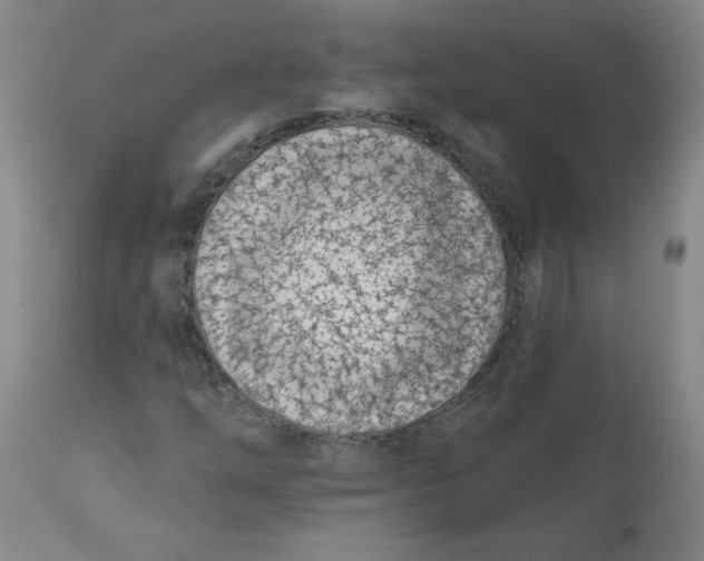 X0000113201254200910011248