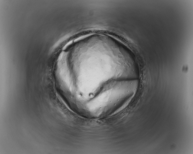 X0000113201255200910011248