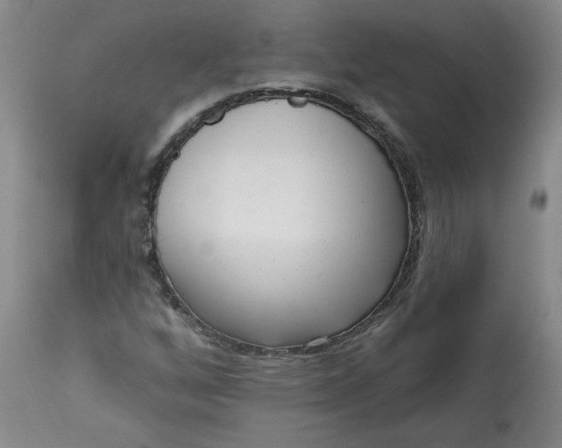 X0000113201256200910011248