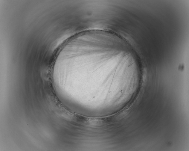 X0000113201258200910011248