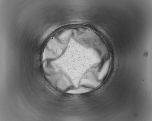 X0000113201259200910011248