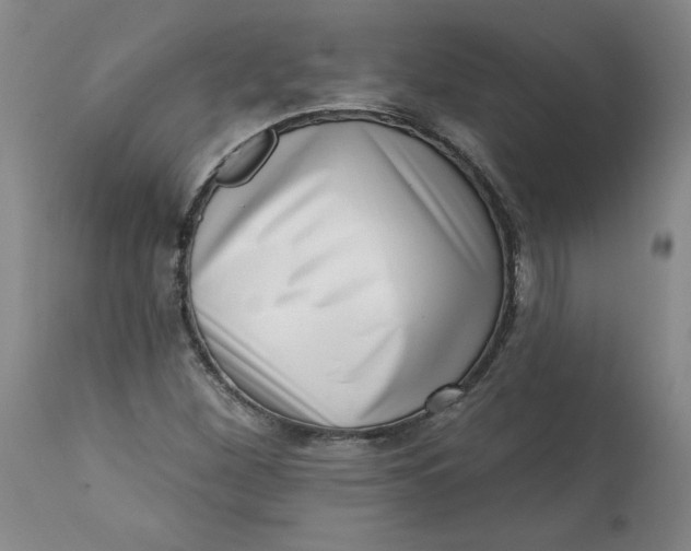 X0000113201260200910011248