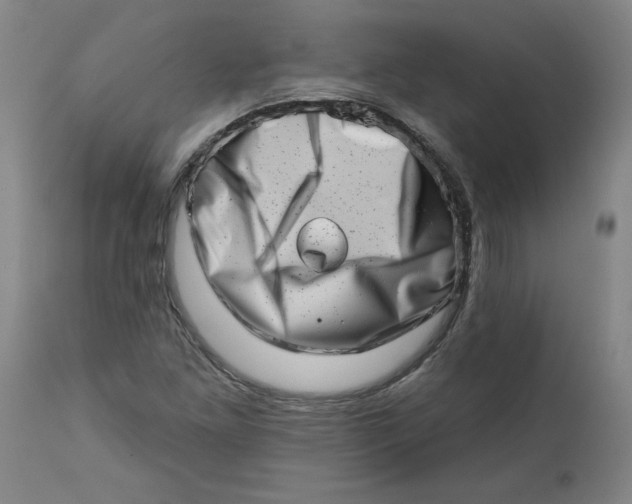 X0000113201261200910011248