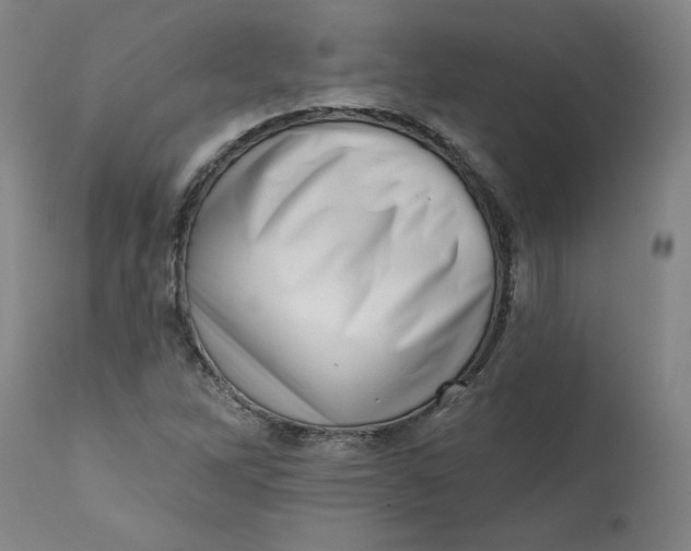 X0000113201262200910011248