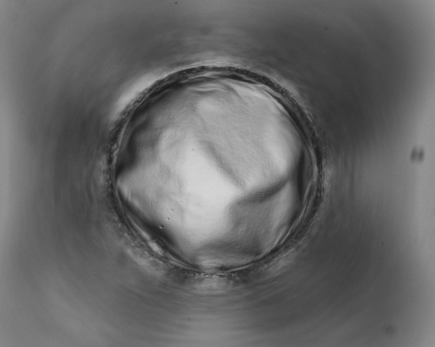 X0000113201263200910011248