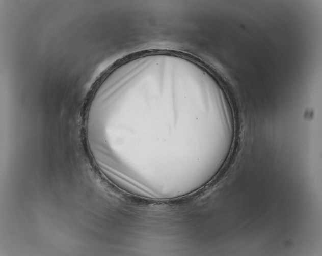 X0000113201264200910011248