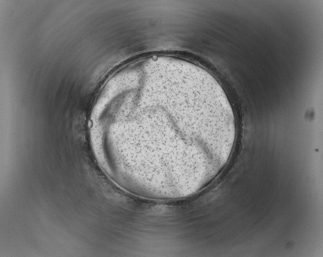 X0000113201265200910011248