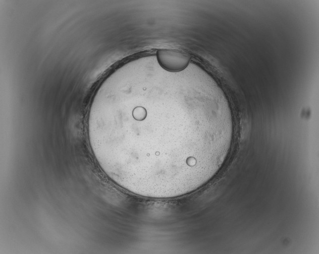 X0000113201266200910011248