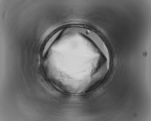 X0000113201267200910011248