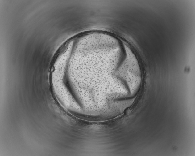 X0000113201268200910011248