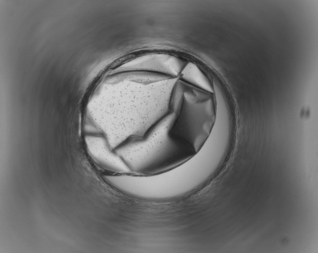 X0000113201269200910011248