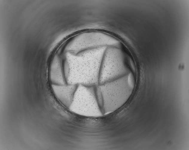 X0000113201270200910011248