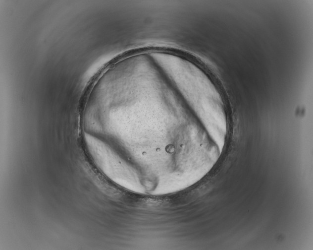 X0000113201271200910011247