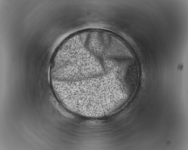 X0000113201272200910011247