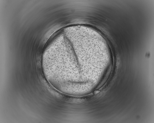 X0000113201273200910011247