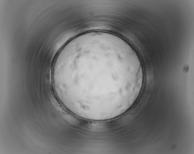 X0000113201274200910011247