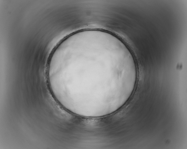 X0000113201278200910011247