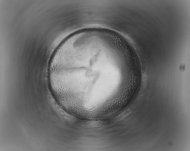 X0000113201279200910011247