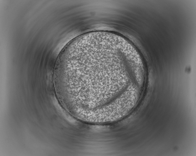 X0000113201281200910011247