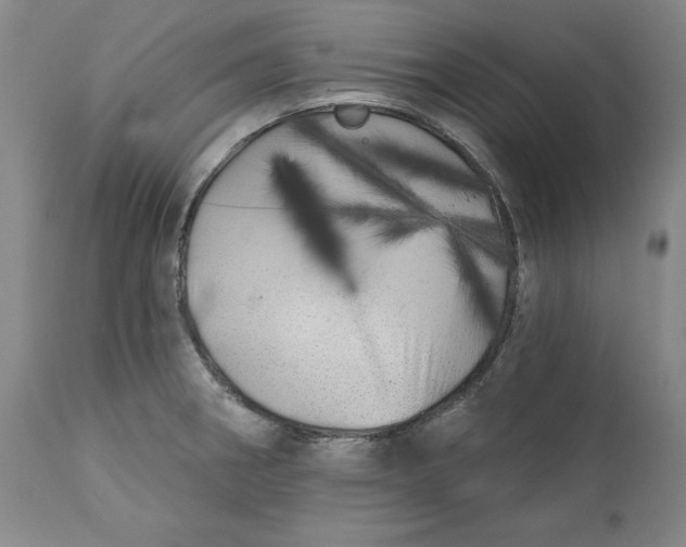 X0000113201282200910011247