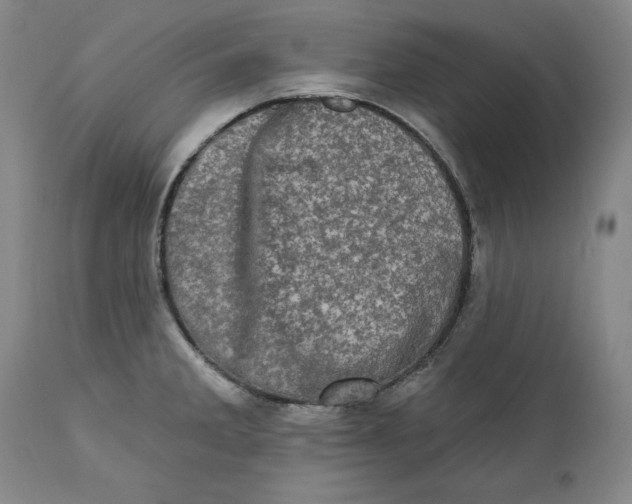 X0000113201285200910011247