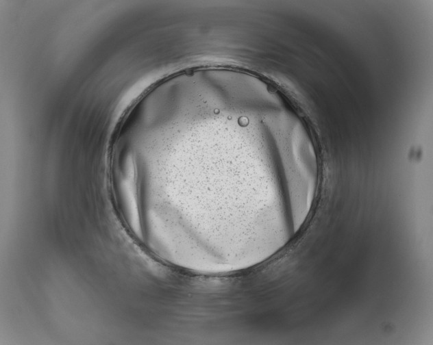 X0000113201286200910011247