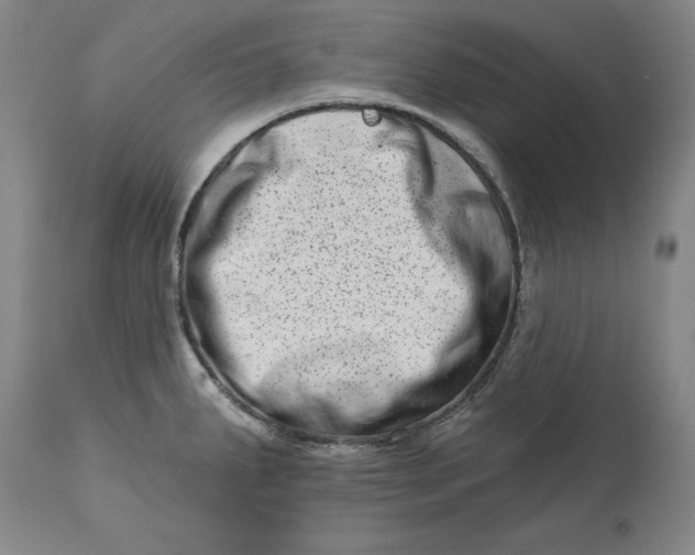 X0000113201287200910011247